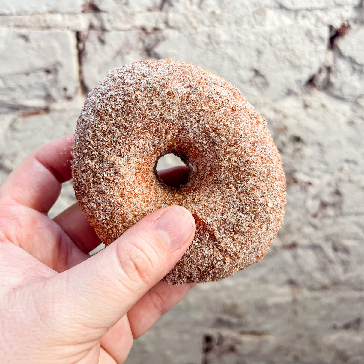 Cinnamon Sugar Donuts - FRIDAY ONLY