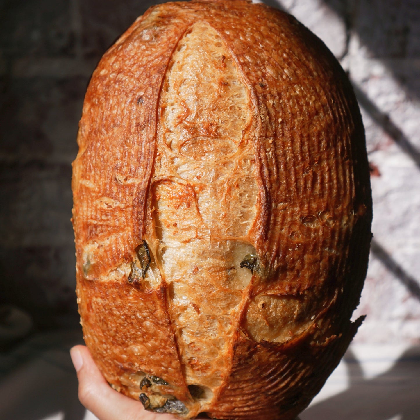 Cheese and Jalapeño Sourdough